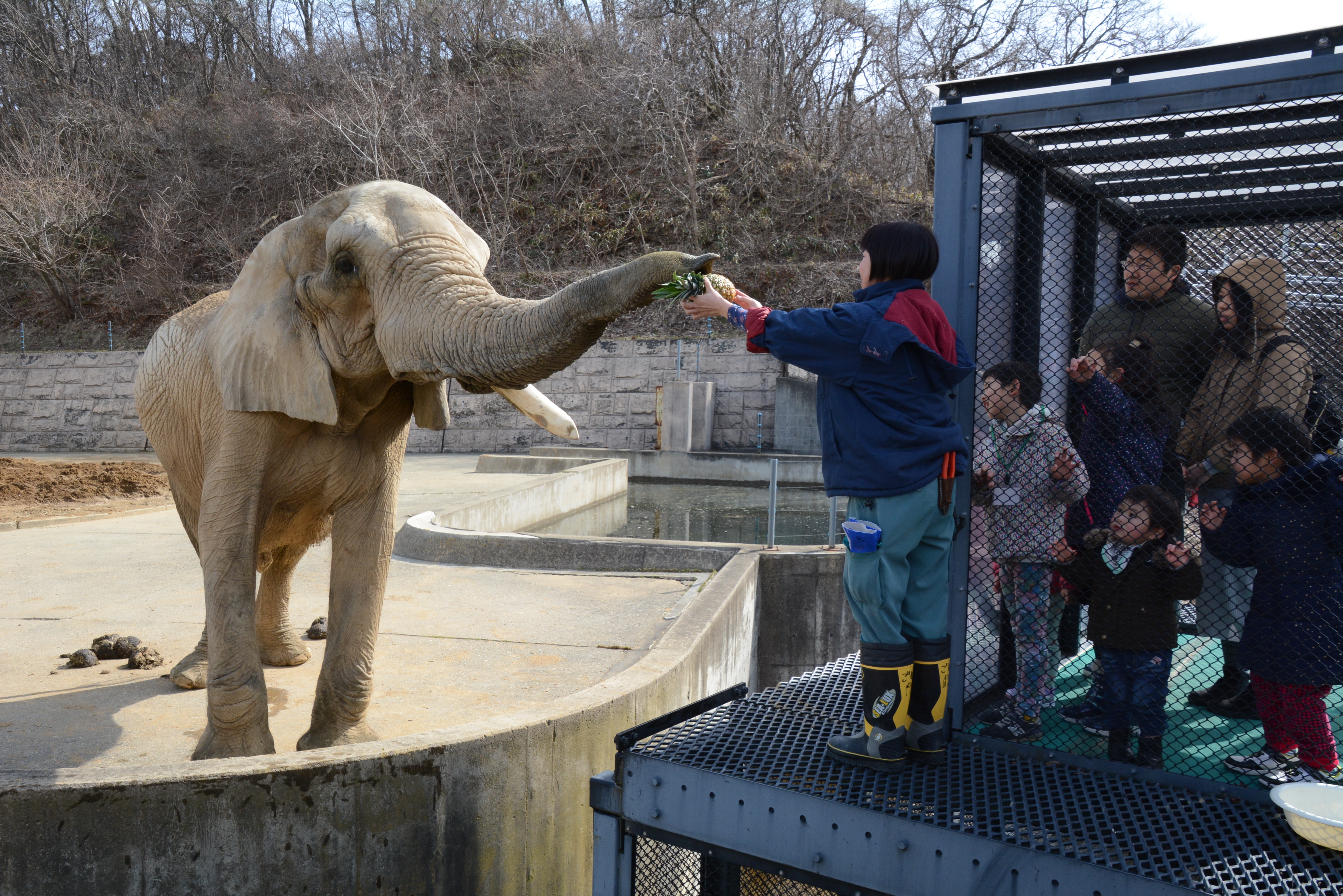 大森山動物園